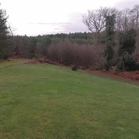 Maison Au Coeur De La Foret * La Fontaine-Saint-Martin