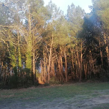 Maison Au Coeur De La Foret Casa vacanze *