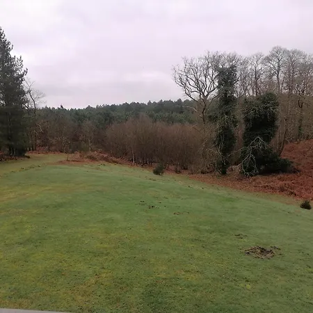Casa vacanze Maison Au Coeur De La Foret