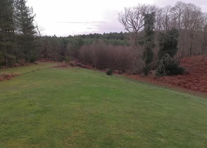 Maison Au Coeur De La Foret * La Fontaine-Saint-Martin