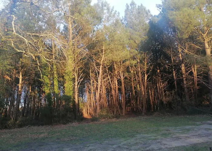 Maison Au Coeur De La Foret Semesterbostad *