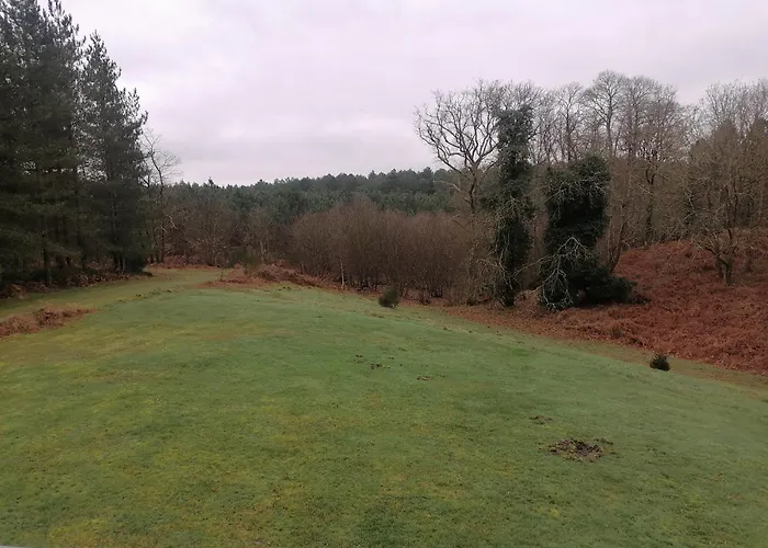 Semesterbostad Maison Au Coeur De La Foret